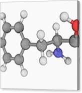 Tyrosine Molecule Canvas Print