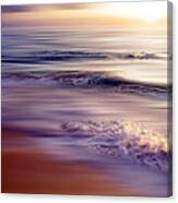 Violet Dream Canvas Print