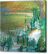 Water And Reeds Canvas Print