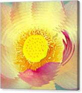 Water Lily Canvas Print