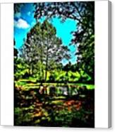 #water #pond #nature Canvas Print