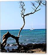 Water Sports In Hawaii Canvas Print