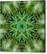 Web Dew. #kaleidoscope #dtmas #suchkov Canvas Print