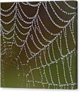 Web With Dew Canvas Print
