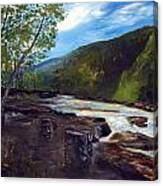 Webster Springs Stream Canvas Print