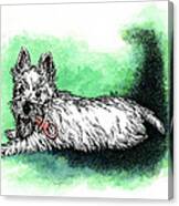 Westie With Soother Canvas Print