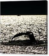 Whale In Sunset Canvas Print