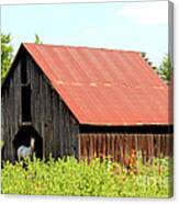 White Horse Waiting Canvas Print