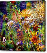 Wild Desert Flower Universe Canvas Print