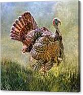 Wild Turkey Canvas Print