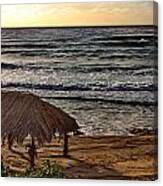 Windansea Surf Shack Canvas Print