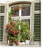 Window With Flower Pots Canvas Print