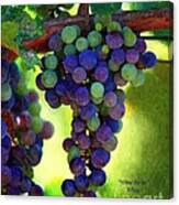 Wine To Be - Art Canvas Print