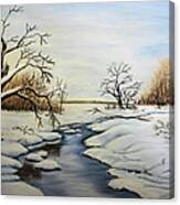 Winter 2011 Canvas Print