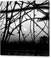 Winter Moon - Winter Mond Canvas Print