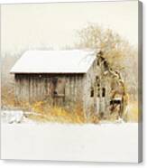 Winters Rage Canvas Print