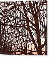 Wintree Sunset Canvas Print
