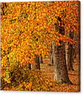 Wonderful Autumn Canvas Print