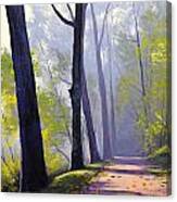 Wooded Trail Canvas Print
