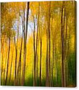 Woodland Impression Canvas Print