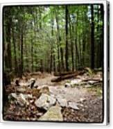 #woods #forest #trail #mountains Canvas Print