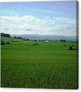 Yamhill Countryside Canvas Print