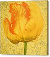 Yellow Parrot Tulip Canvas Print