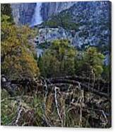 Yosemite Falls From The Valley Floor Canvas Print