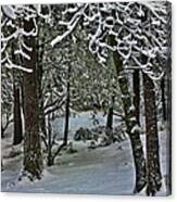 Yosemite Snow Canvas Print