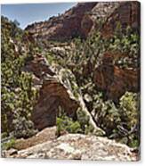 Zion Canyon Overlook Trail Look Back Canvas Print