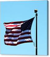 Usa Flag Canvas Print