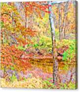 Woods In Autumn Montgomery Cty Pennsylvania Canvas Print