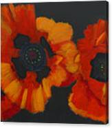 3 Poppies #1 Canvas Print