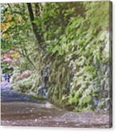Road To Emmaus Canvas Print