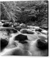 A Black And White River Canvas Print