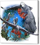 African Grey Parrots #1 Canvas Print