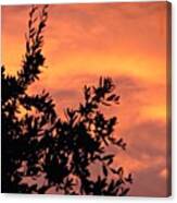 Another #beautiful #sunrise In #1 Canvas Print