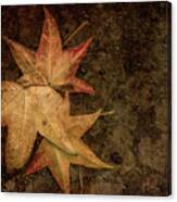 Autumn Deep Canvas Print