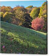 Autumn Palette Canvas Print
