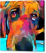 Basset Hound #1 Canvas Print