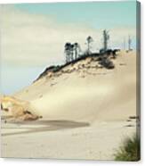 Beach Dunes #1 Canvas Print