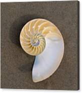 Bellybutton Nautilus - Nautilus Macromphalus #1 Canvas Print