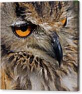 Bengal Eagle Owl #1 Canvas Print