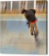 Biking  The Skateboard Park 4 Canvas Print