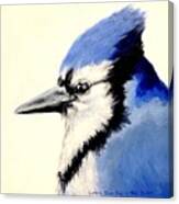 Blue Jay  #2 Canvas Print