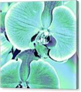 Blue Orchids #2 Canvas Print