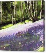 Bluebell Wood Canvas Print