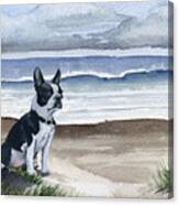 Boston Terrier At The Beach #2 Canvas Print