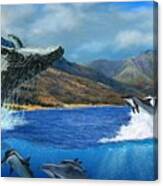 Breaching Humpback Whale At West Maui Canvas Print