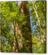 Brick Chimney #1 Canvas Print